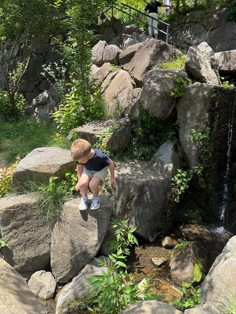 Young boy climbing large boulders near a small waterfall surrounded by greenery